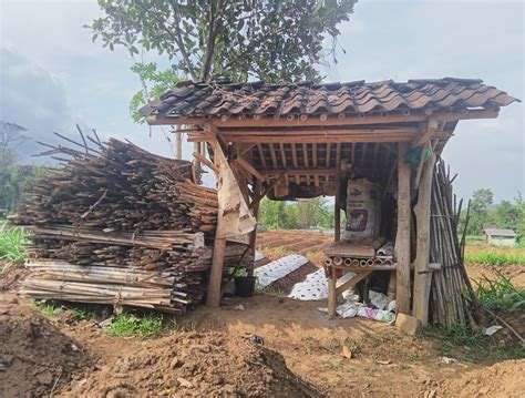 gubuk tani eksotika desa