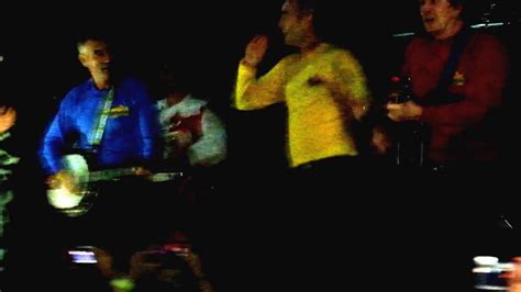 Wiggles Reunion Over S Concert Hot Potato Acoustic In Darkness