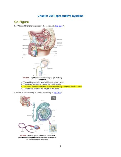AHP106 Wk6 Assignment - reproductive system - Chapter 26: Reproductive