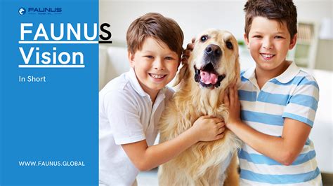 faunus platform faunus global medium