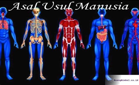 asal usul manusia ruangbimbelcoid umum