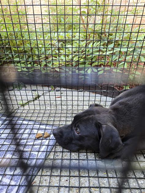 racine county scanner 3