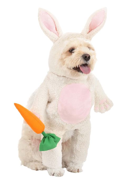 brown bunny costume 5