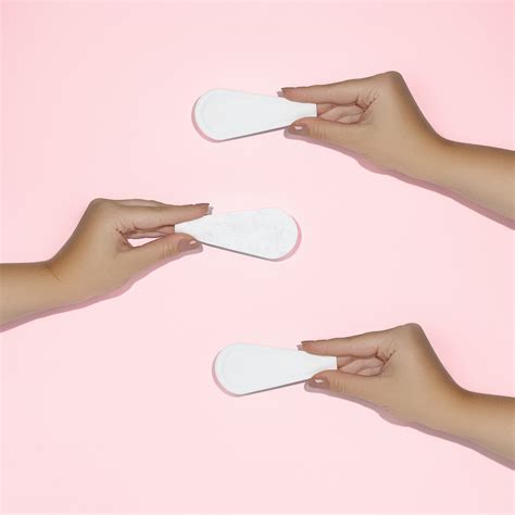 Wild Amaginations Christine Campbell