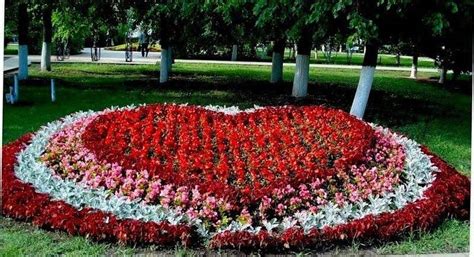 Клумба круглой формы. Красивейшие цветники своими руками (12 фото)