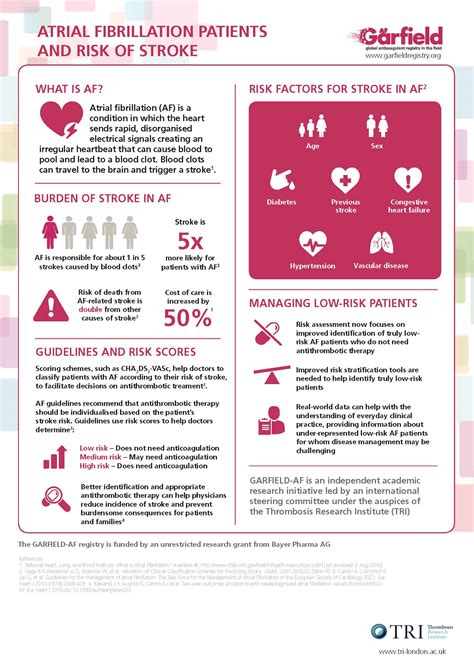 AF Patients and Risk of Stroke [Infographic] - GARFIELD-AF Registry