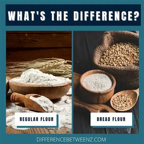 Transform Regular Flour into Homemade Bread Flour: A Simple Guide - Hunter Games Magazine