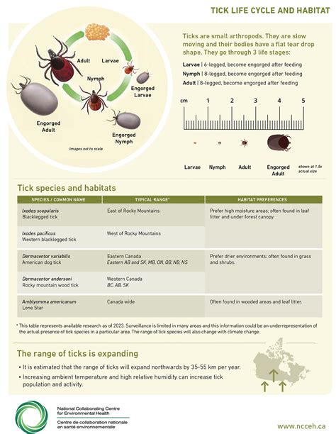 Ticks in a changing climate