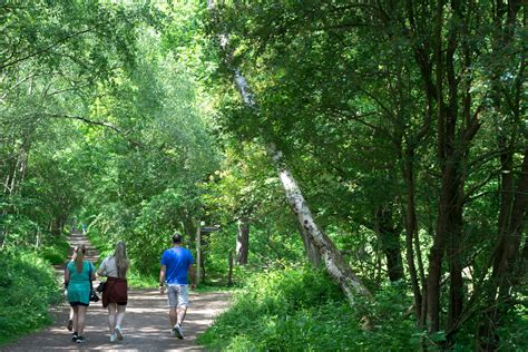 The Sherwood Forest Trust Woodland Festival - The Sherwood Forest Trust