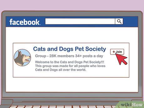 how to get free dog food
