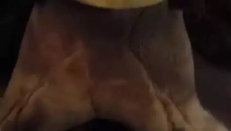 Extreme Anal Corona Cum Free Gay Porn Video XHamster