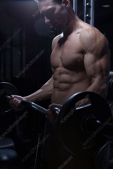 man lifting barbell stock image  science photo library