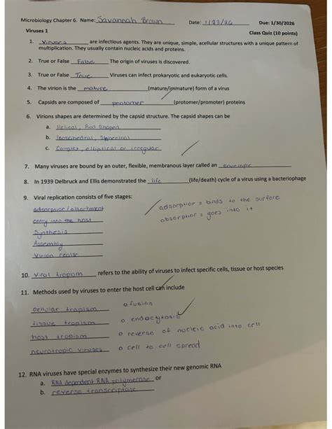 Microbiology Chapter 6: Viruses Class Quiz (10 pts) - Studocu