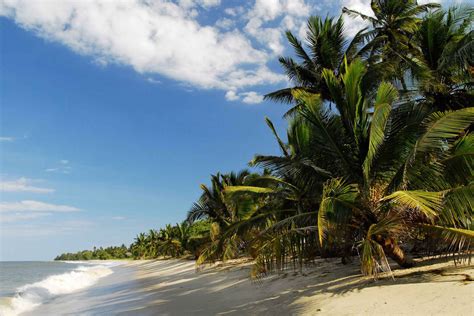 sofala  golden gateway   swahili coast  sudan times