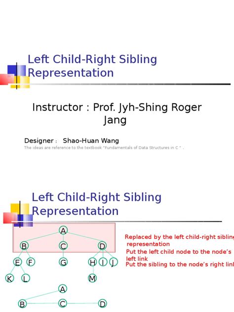 left child  sibling representation  knowledge