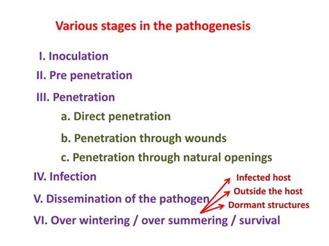 lecture  pathogenesispdf