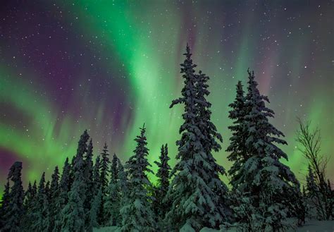 Alaska Northern Lights Photography Tour and Workshop — Explore Alaska