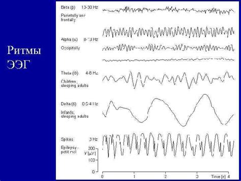 Основные ритмы ЭЭГ Лекция 2 I Методы