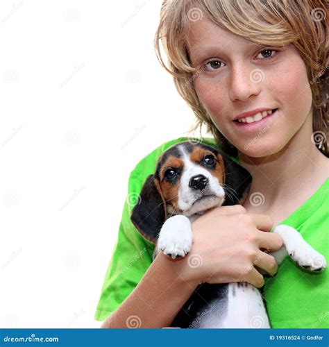 Pet child dog beagle stock photo. Image of friends, animal - 19316524
