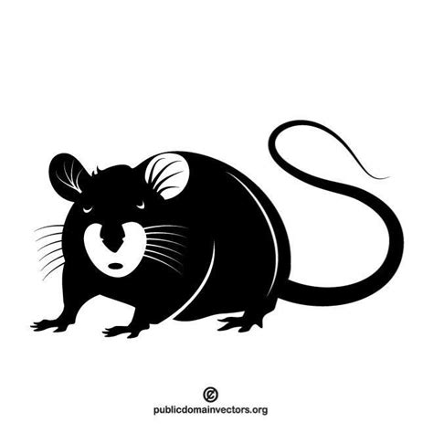 Rat Graphics Royalty Free Stock Svg Vector