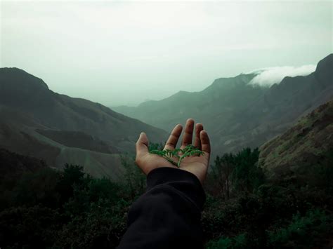 Ebony+Backshot Photos, Download The BEST Free Ebony+Backshot Stock