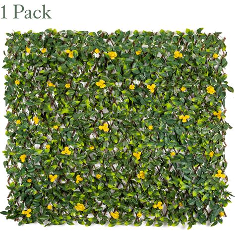 Expanding Artificial Trellis with Flowers