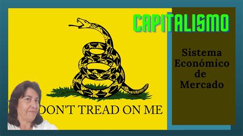 sistema de economia de mercado capitalismo ventajas  desventajas