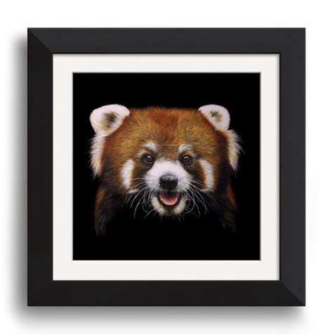 rondo  red panda tpinningtonart