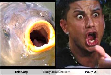 chucks fun page   funny  alikes