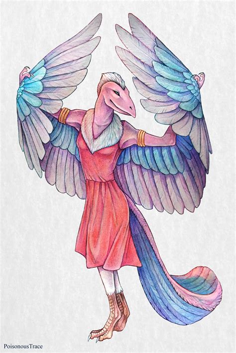 teryx  poisonoustrace  deviantart