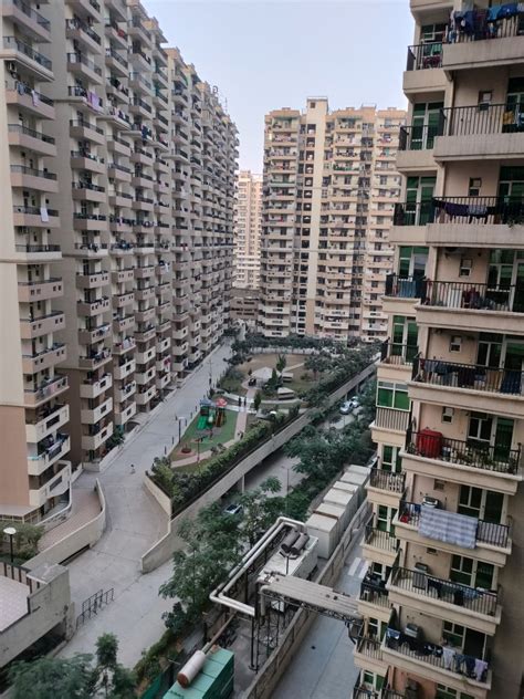 Gaur City 2 14th Avenue Noida Extention Noida Apartments Flats