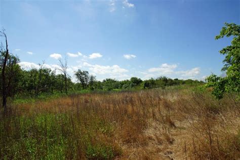 32 Unrestricted Ag Exempt Acres In Granger For Sale In Granger Tx