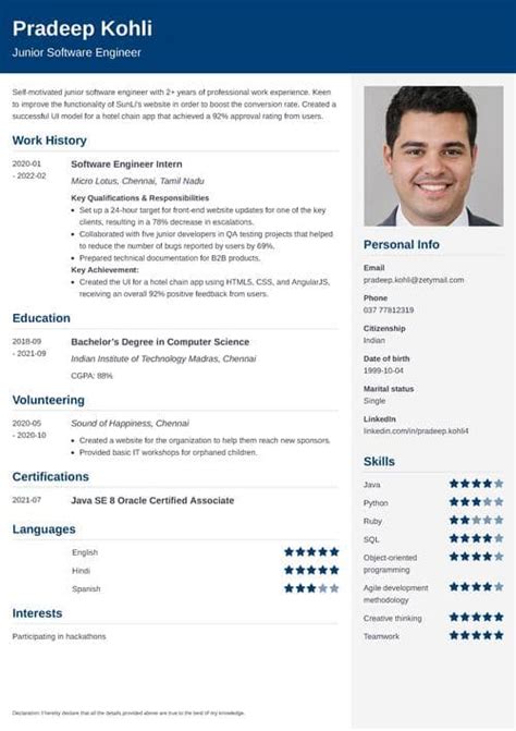 resume   freshers  professional simple resume templates