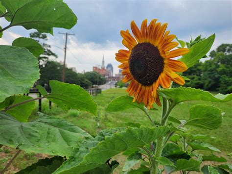 Better training programs will soon upgrade shreveport 911