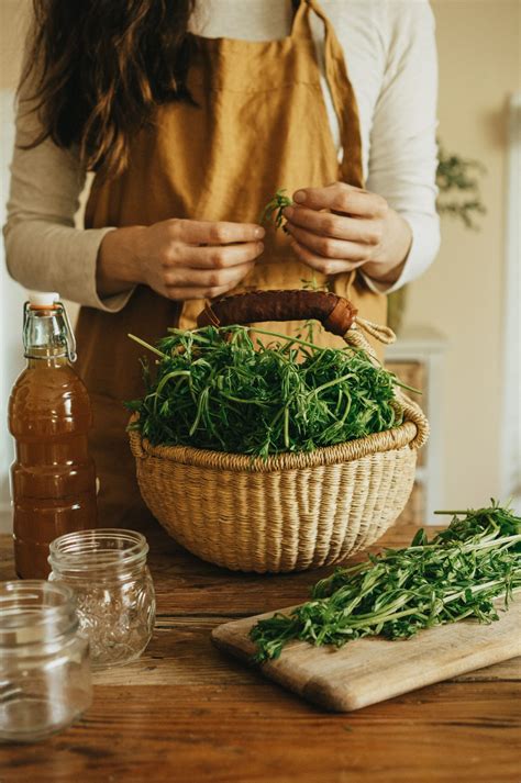 Finding Balance: Blood Sugar and Plants – SUMMER HERBAL HEALTH SERIES