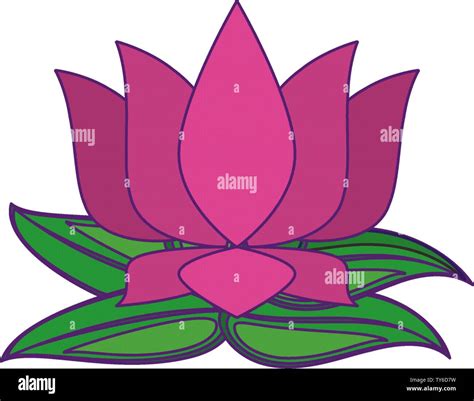 Lotus Flower Animation