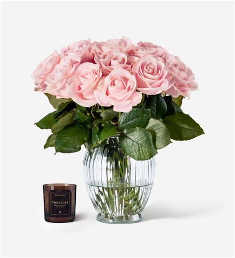 Pink Rose Flower Vase