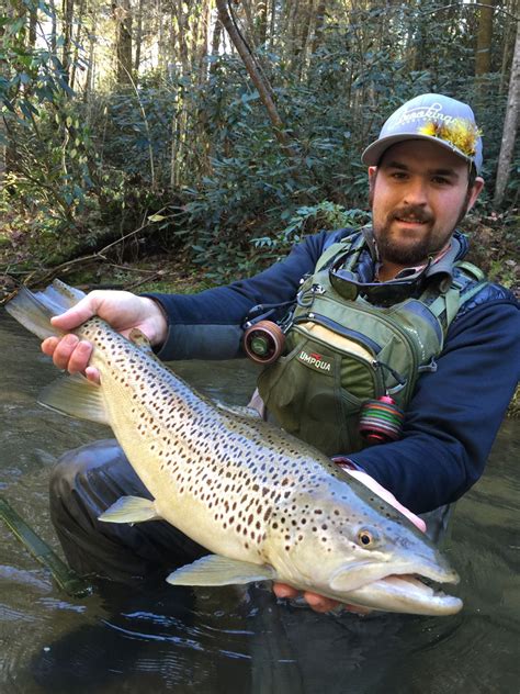 Trout Fishermen Can Get Plenty Of Action With A Visit To Cherokee Nc