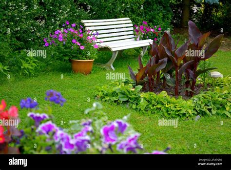 White Garden Bench In The Flower Garden Stock Photo Alamy