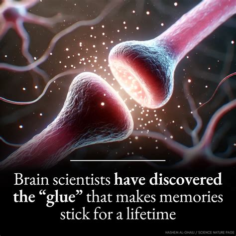 Hashem Al-Ghaili - The Key to Everlasting Memories? Scientists ...