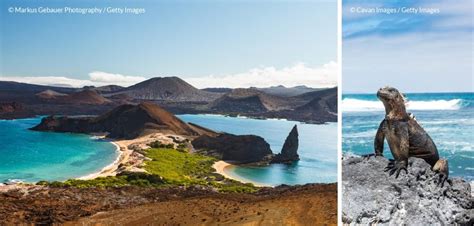 The Galápagos Islands: underwater in a giant aquarium - Panorama of the Americas