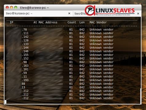 Find Ip Address From Mac Address Kali Linux Pasaemerald