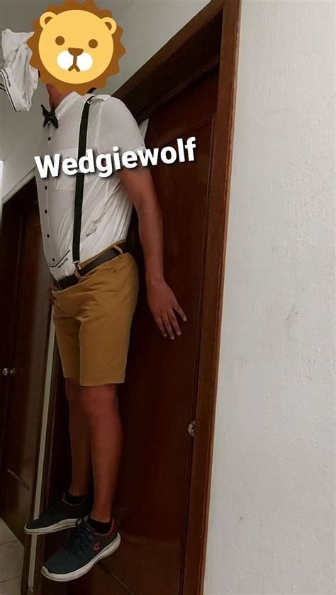 Furry Abdl Gay Wedgie On Tumblr