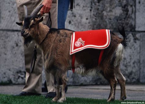 Hennes-History