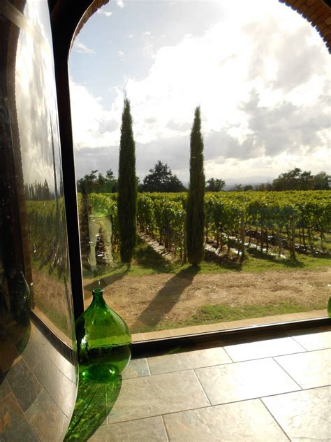 'Tuscan Wine Tour' - Full day - Tuscanmagic Di Dng srl