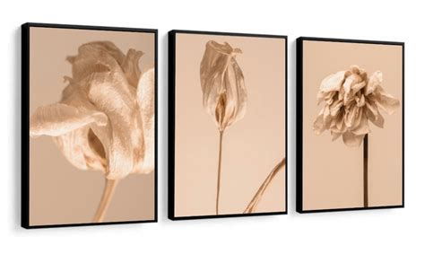 Quadros Decorativos Flores Bege Nude Folhagem Molduras Elo