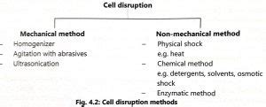 Downstream Processing Biology Ease