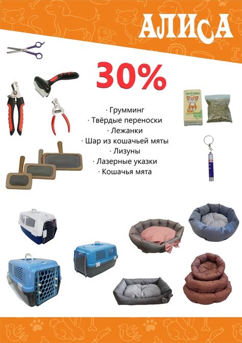 Алиса Челябинск | ВКонтакте