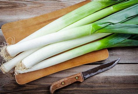 Лук-порей: выращивание рассады из семян, посадка в открытом грунте и ...