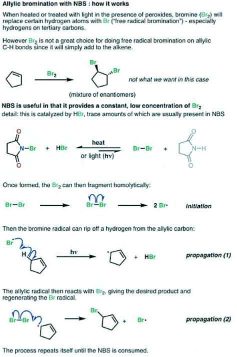 Nbs N Bromo Succinimide Chemistry Optional Notes For Upsc Pdf Download